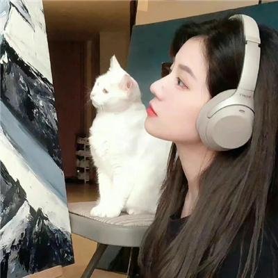我不是精英